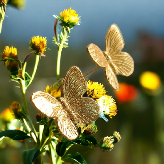 Butterfly Golden Earrings