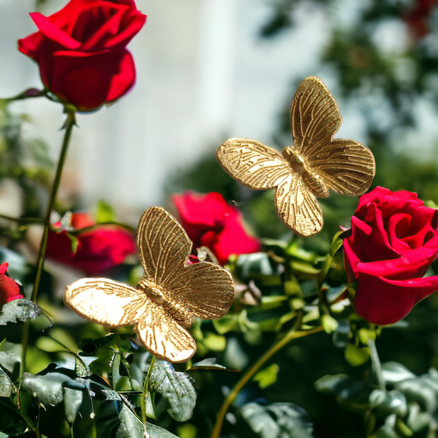 Butterfly Golden Earrings